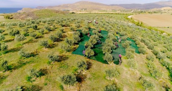 στο επίκεντρο του διεθνούς ενδιαφέροντος για την αντιμετώπιση των επιπτώσεων της κλιματικής αλλαγής με εφαρμογή Λύσεων Βασισμένων στη Φύση